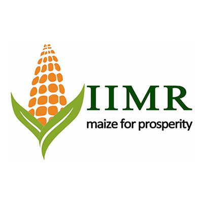 _0009_iimr